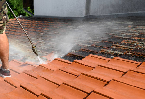 Best Best Pressure Washing Companies  in Norco, LA